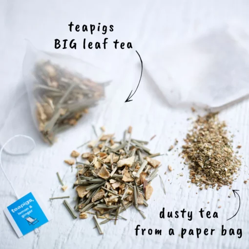 Teapigs Lemon