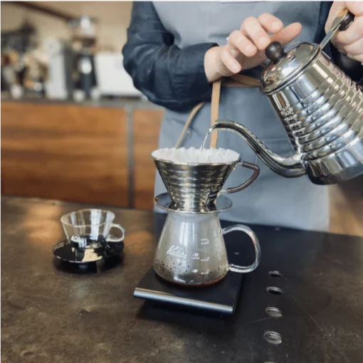 Kalita_inaction