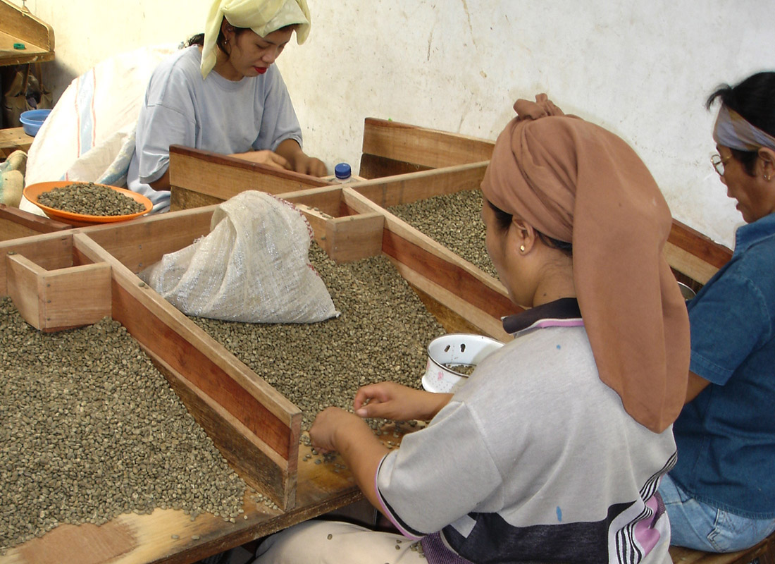 økologisk indonesien umang gayo