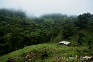 Nicaragua Finca La Fundadora