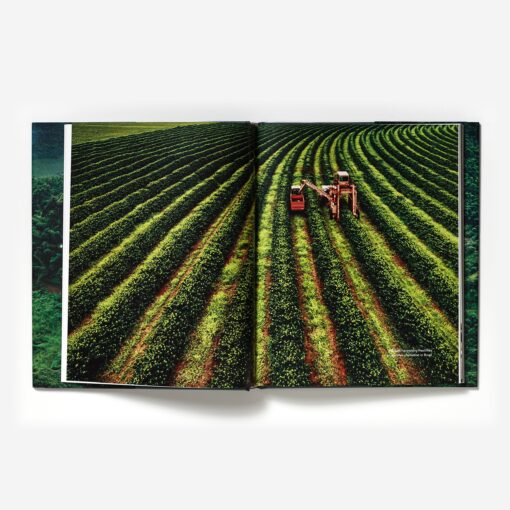 Terroir - Image 2